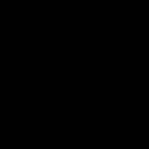 Meet your Posher, Damian